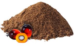 Palem Kernel Cake