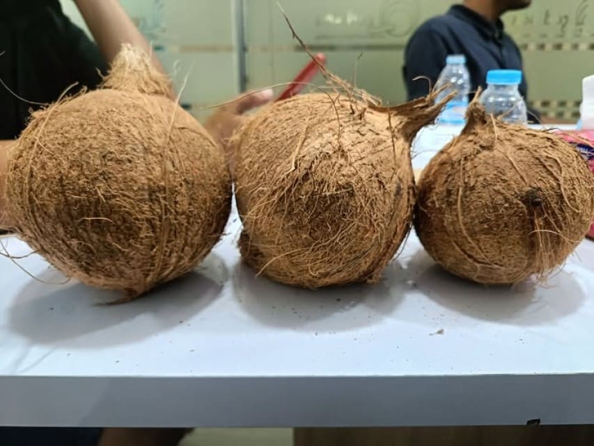INDONESIA COCONUT EXPORTERS